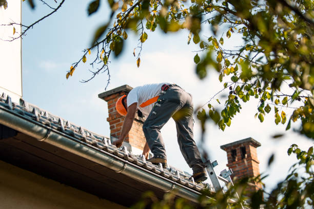 Best Local Roofing Companies  in Eidson Road, TX