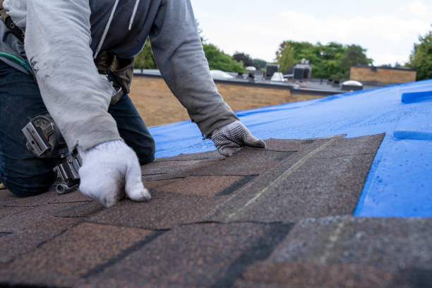 Best Roof Maintenance Services  in Eidson Road, TX