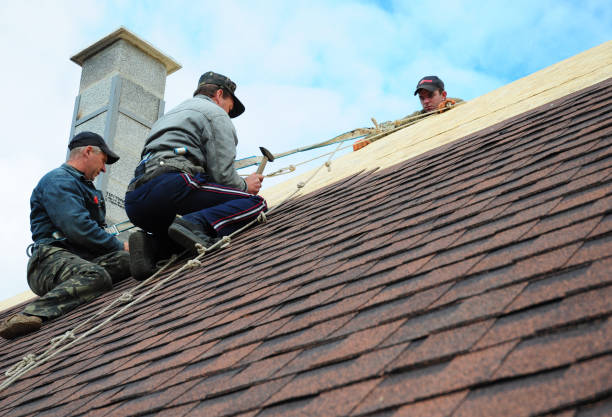 Best Roof Maintenance Services  in Eidson Road, TX