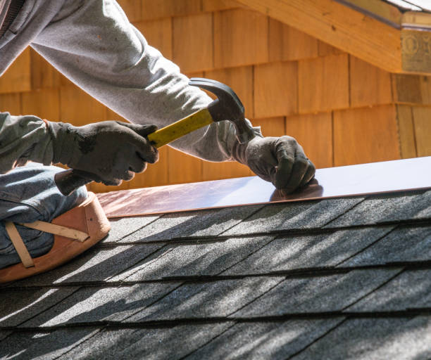 Best Roof Gutter Cleaning  in Eidson Road, TX